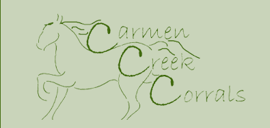  Carmen Creek Corrals - Horses For Sale